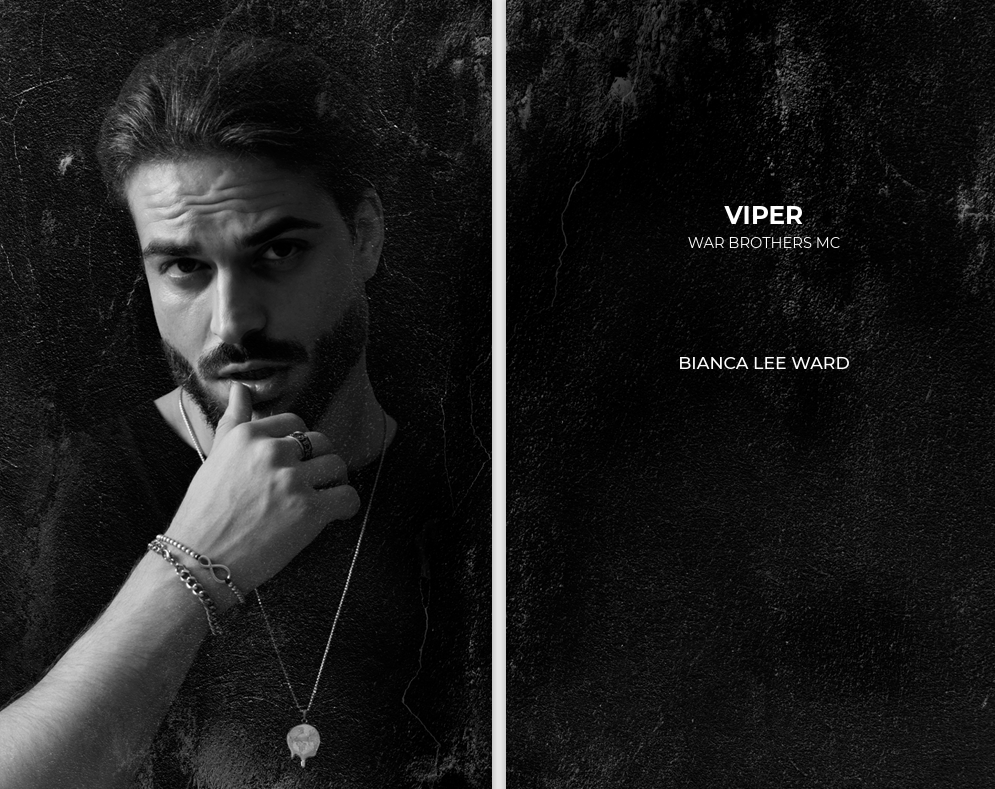 Viper (paperback)